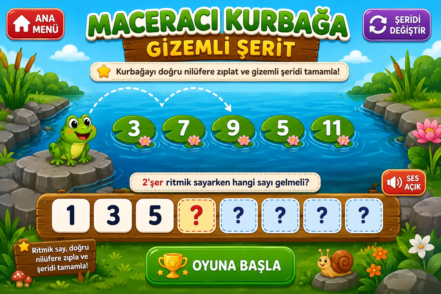 Kurbağa Ritmik